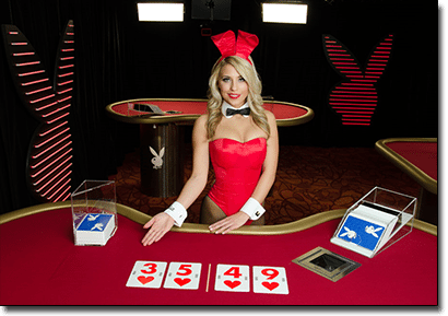 Playboy Bunny live dealer blackjack by Microgaming Playboy Bunny live dealer blackjack by Microgaming